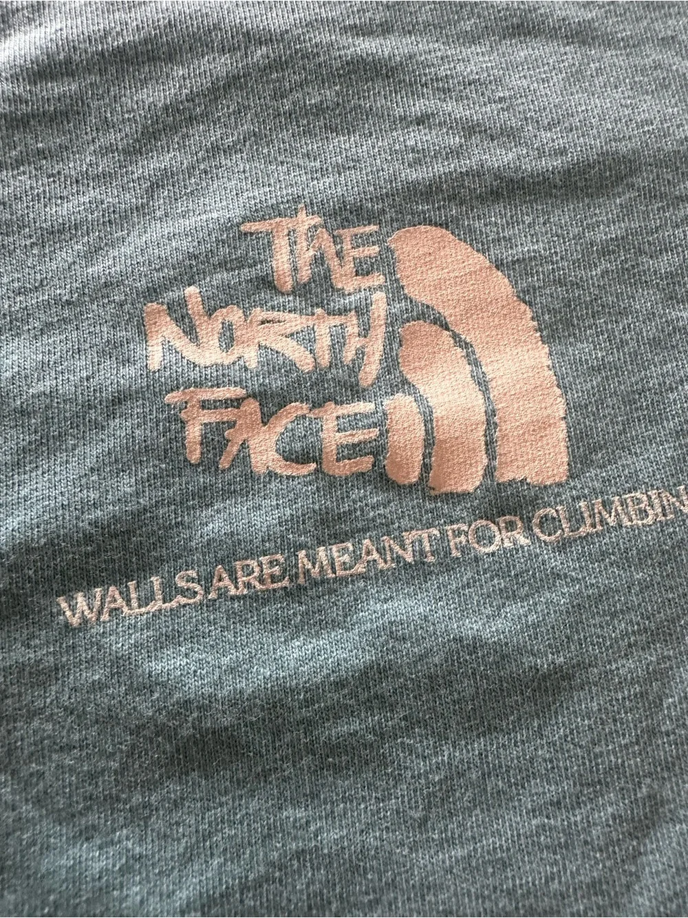 The North Face Men's Light Sage Green Mountain Graphic Short Sleeve Tee Great!